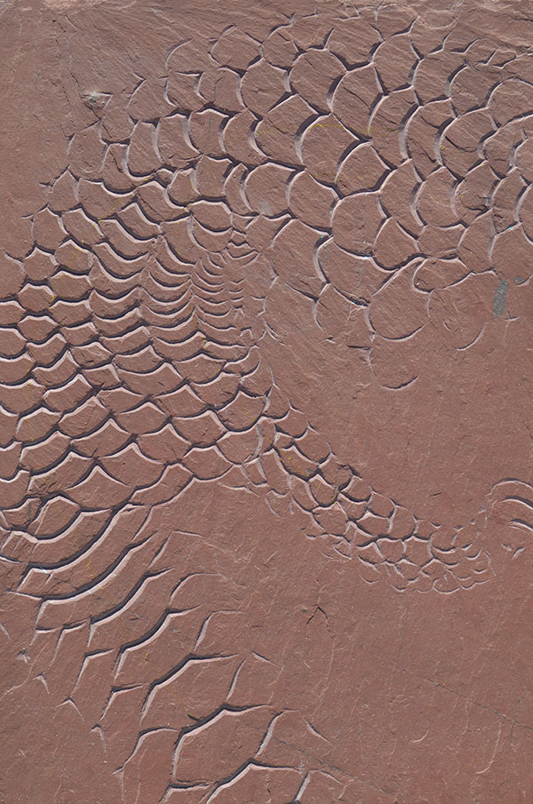 Stone carving of  pangolin