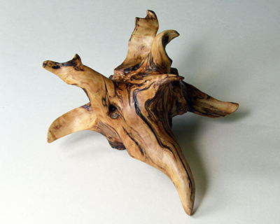 carved root