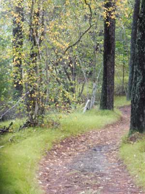 Rain after a dry spell