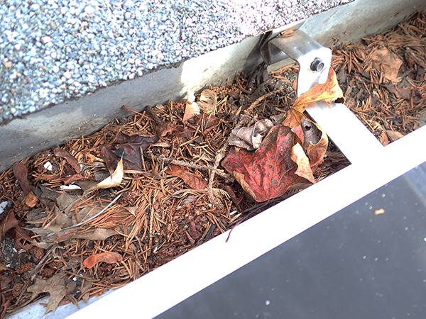Gutter with debris
