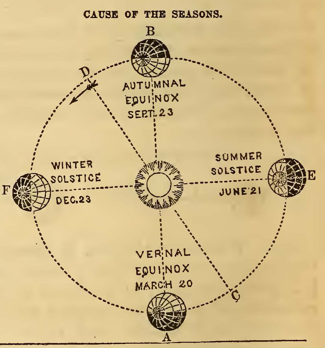 seasons